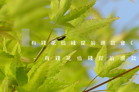 有錢花借錢提前還款會(huì)有影響嗎-有錢花借錢提前還款會(huì)有影響嗎知乎