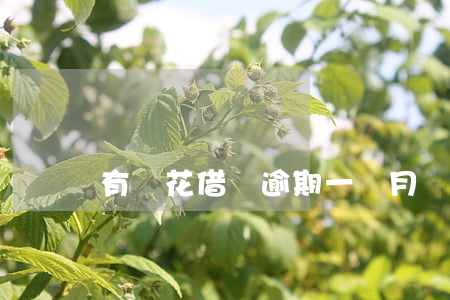 有錢花借錢逾期一個月會怎么樣-