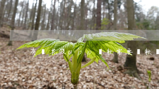 有錢花假app貸款需要還款嗎-