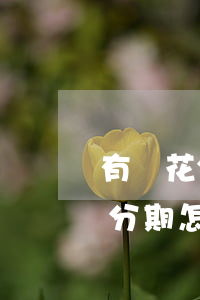 有錢花分期怎么還款可以提前還嗎-有錢花分期怎么還款可以提前還嗎安全嗎