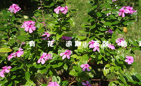 有錢花剛逾期幾天就開始處理了-