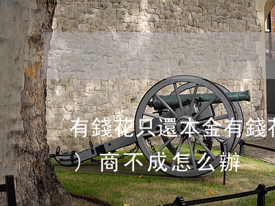 有錢花只還本金(有錢花只還本金協(xié)商不成怎么辦)