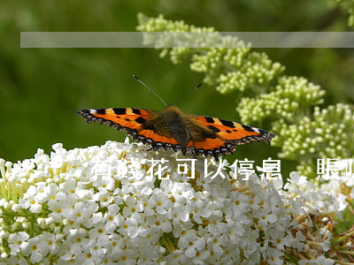 有錢花可以停息掛賬嗎(有錢花暫停借款)