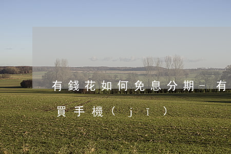 有錢花如何免息分期-有錢花如何免息分期買手機(jī)