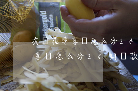 有錢花尊享貸怎么分24期還款-有錢花尊享貸怎么分24期還款的