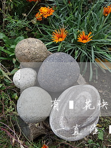 有錢花快逾期了怎么辦(有錢花逾期了,后面人一直催債怎么辦)