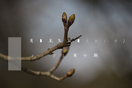 有錢花怎么協(xié)商 有錢花怎么協(xié)商分期