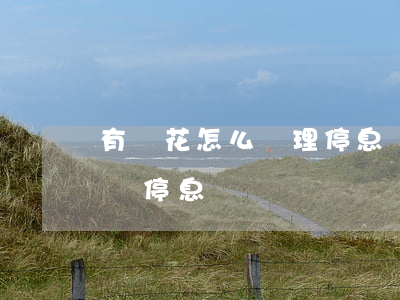 有錢花怎么辦理停息掛賬(百度有錢花可以申請停息掛賬嗎)