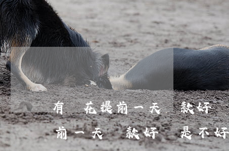 有錢花提前一天還款好還是不好-有錢花提前一天還款好還是不好呢