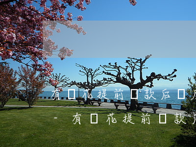 有錢花提前還款后額度會(huì)怎么樣-有錢花提前還款后額度會(huì)怎么樣嗎