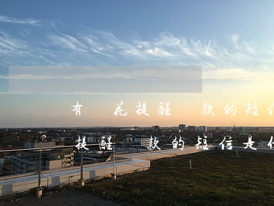 有錢花提醒還款的短信是什么樣的-有錢花提醒還款的短信是什么樣的啊
