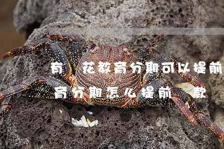 有錢花教育分期可以提前還款嗎-有錢花教育分期怎么提前還款