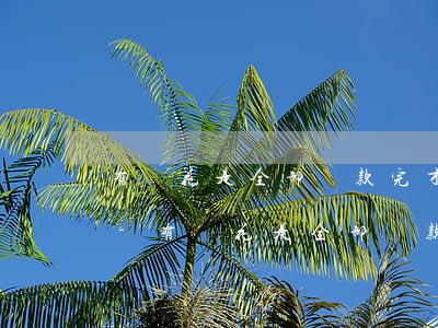 有錢花是全部還款完才能繼續(xù)借嗎-有錢花是全部還款完才能繼續(xù)借嗎
