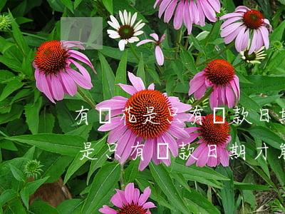有錢花是只有還款日期才能還款嗎-有錢花是只有還款日期才能還款嗎