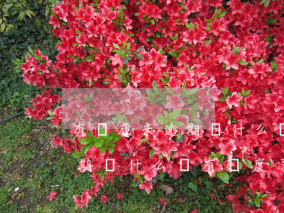 有錢花未逾期為什么沒有額度了（有錢花未逾期為什么沒有額度了）