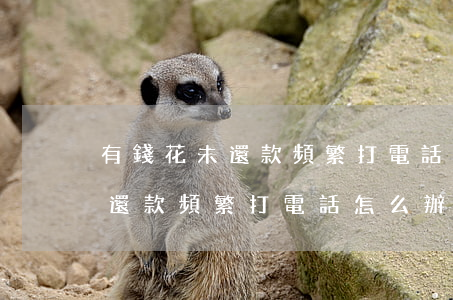 有錢花未還款頻繁打電話怎么辦-有錢花未還款頻繁打電話怎么辦呢