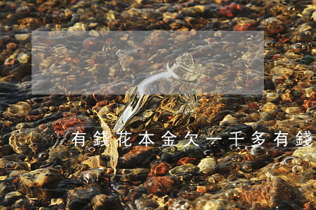 有錢花本金欠一千多(有錢花本金都已還清)