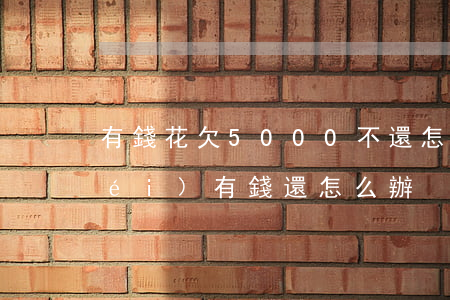 有錢花欠5000不還怎么辦(有錢花沒(méi)有錢還怎么辦)