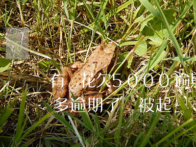 有錢花欠5000逾期了(欠有錢花5000多逾期了,會被起訴嗎)