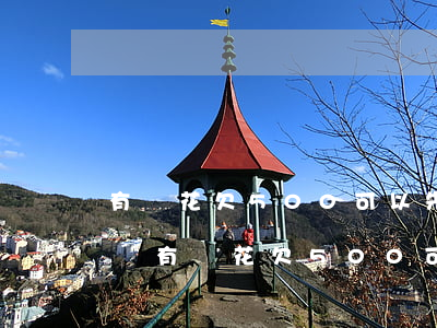 有錢花欠500可以先還一點(diǎn)嗎(有錢花欠500可以先還一點(diǎn)嗎)