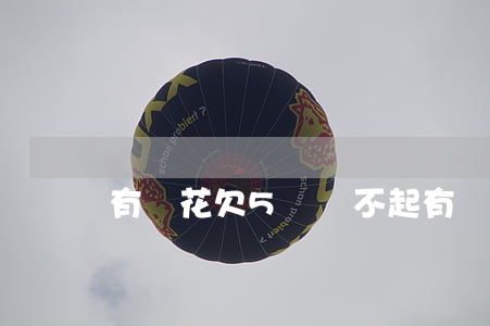 有錢花欠5萬還不起(有錢花欠5000不還)