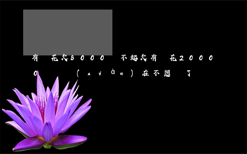 有錢花欠8000還不起(欠有錢花20000塊錢現(xiàn)在不想還了)