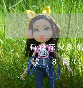 有錢花欠8萬(wàn)自救方法(有錢花欠款18萬(wàn))
