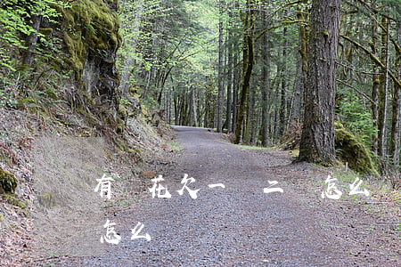 有錢花欠一萬二會怎么樣(有錢花欠一萬二會怎么樣)