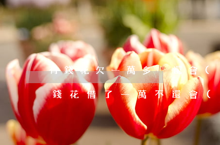 有錢花欠一萬多沒還會(huì)怎么樣(有錢花借了一萬不還會(huì)怎樣)
