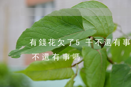 有錢花欠了5千不還有事嗎(有錢花欠了5千不還有事嗎)