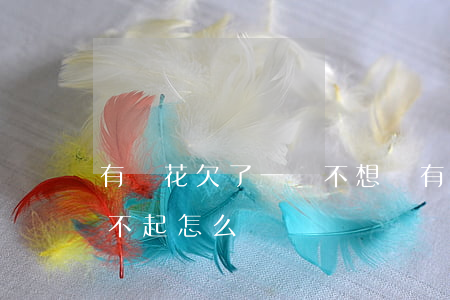有錢花欠了一萬不想還(有錢花上欠1萬2還不起怎么辦)