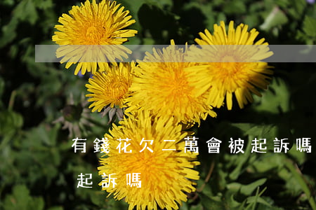 有錢花欠二萬會被起訴嗎(有錢花不還了會被起訴嗎)