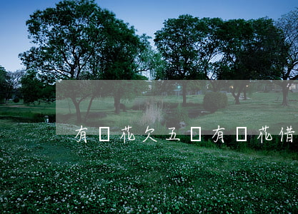 有錢花欠五萬(有錢花借五萬)