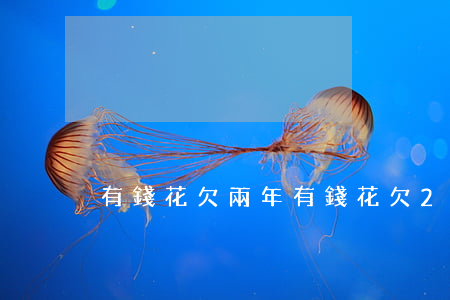有錢花欠兩年(有錢花欠2萬一年)
