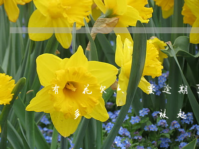 有錢花欠六萬要逾期了怎么辦(有錢花欠了六萬多沒錢還會被起訴嗎?)