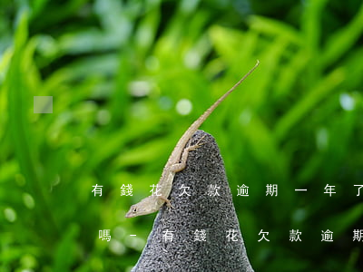 有錢花欠款逾期一年了會(huì)起訴的嗎-有錢花欠款逾期一年了會(huì)起訴的嗎知乎