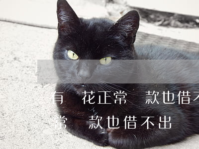 有錢花正常還款也借不出來錢嗎-有錢花正常還款也借不出來錢嗎怎么辦