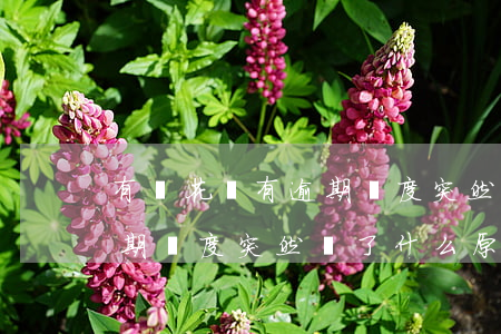 有錢花沒有逾期額度突然沒了(有錢花沒有逾期額度突然沒了什么原因)