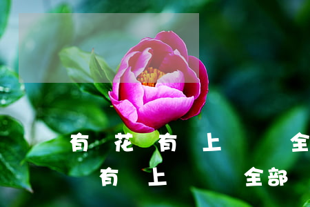 有錢花沒有還上錢會讓全部還款嗎-有錢花沒有還上錢會讓全部還款嗎怎么辦