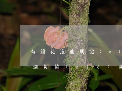 有錢花沒逾期協(xié)商還款(有錢花沒逾期協(xié)商還款)