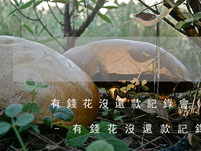 有錢花沒還款記錄會(huì)影響征信嗎-有錢花沒還款記錄會(huì)影響征信嗎知乎