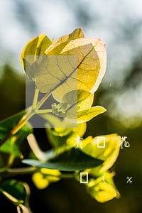 有錢花準(zhǔn)備逾期了沒錢還怎么協(xié)商-有錢花準(zhǔn)備逾期了沒錢還怎么協(xié)商還款