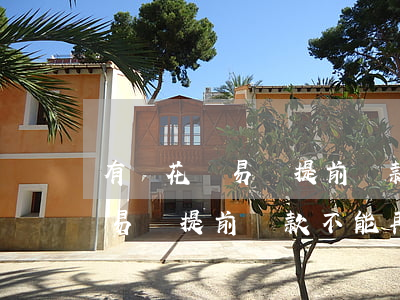 有錢花滿易貸提前還款不能再借-有錢花滿易貸提前還款不能再借了