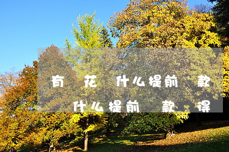 有錢花為什么提前還款還得還多些-有錢花為什么提前還款還得還多些呢