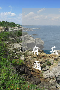 有錢花無逾期怎么處理(有錢花沒有逾期不給通過)