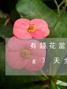 有錢花當(dāng)天借可以當(dāng)天全額還款嗎-有錢花當(dāng)天借可以當(dāng)天全額還款嗎安全嗎