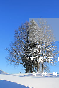 有錢花的教育分期怎么提前還款-有錢花教育分期可以提前還款嗎