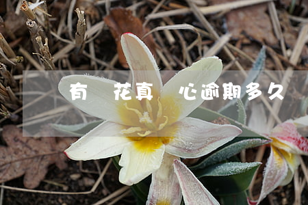 有錢花真惡心逾期多久會上征信-