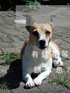 有錢花等額本息可以提前還款嗎-有錢花等額本息可以提前還款嗎