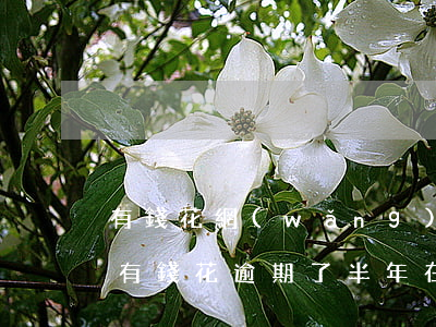 有錢花網(wǎng)貸逾期三月被起訴-有錢花逾期了半年在慢慢還了會被起訴嗎